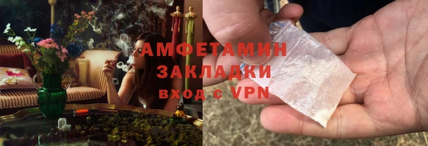 ГАЛЛЮЦИНОГЕННЫЕ ГРИБЫ Дмитриев