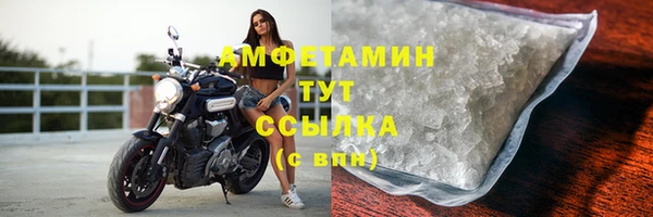 ГАЛЛЮЦИНОГЕННЫЕ ГРИБЫ Дмитриев