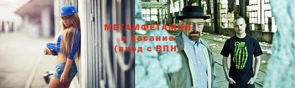 ГАЛЛЮЦИНОГЕННЫЕ ГРИБЫ Дмитриев