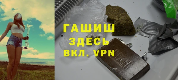 ГАЛЛЮЦИНОГЕННЫЕ ГРИБЫ Дмитриев