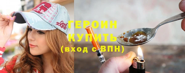 ГАЛЛЮЦИНОГЕННЫЕ ГРИБЫ Дмитриев