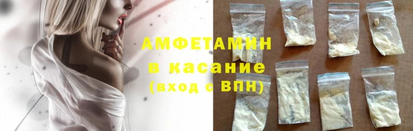 ГАЛЛЮЦИНОГЕННЫЕ ГРИБЫ Дмитриев