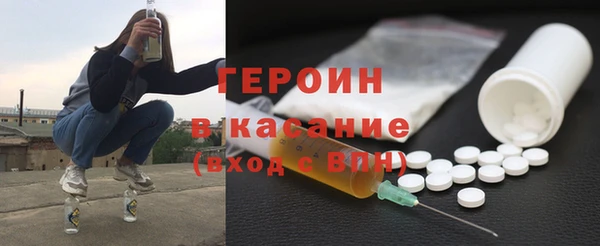 ГАЛЛЮЦИНОГЕННЫЕ ГРИБЫ Дмитриев