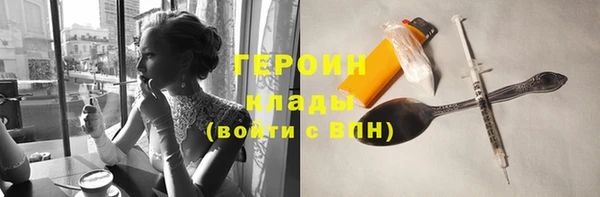 ГАЛЛЮЦИНОГЕННЫЕ ГРИБЫ Дмитриев