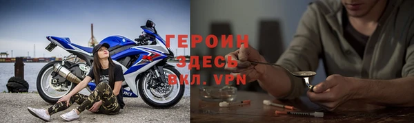 ГАЛЛЮЦИНОГЕННЫЕ ГРИБЫ Дмитриев