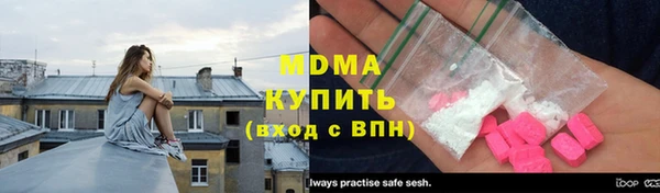 ГАЛЛЮЦИНОГЕННЫЕ ГРИБЫ Дмитриев