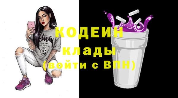 ГАЛЛЮЦИНОГЕННЫЕ ГРИБЫ Дмитриев