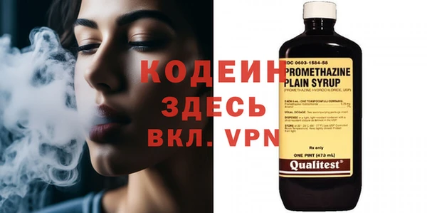 ГАЛЛЮЦИНОГЕННЫЕ ГРИБЫ Дмитриев