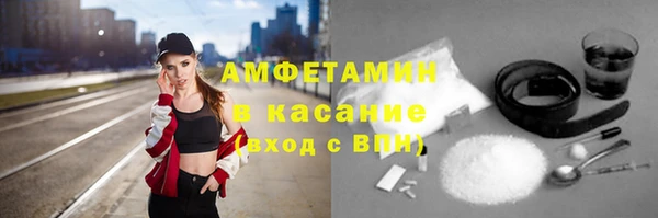 ГАЛЛЮЦИНОГЕННЫЕ ГРИБЫ Дмитриев
