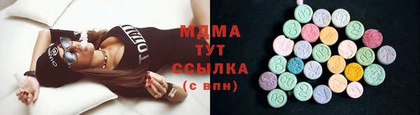 ГАЛЛЮЦИНОГЕННЫЕ ГРИБЫ Дмитриев