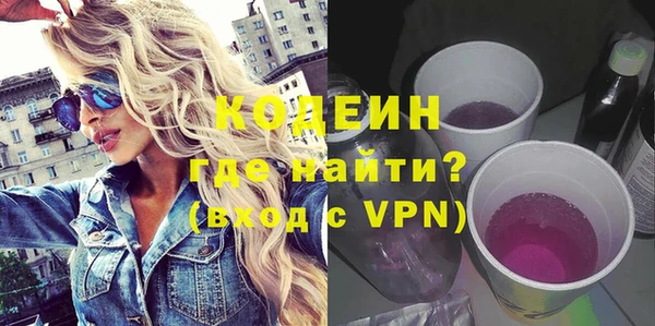 ГАЛЛЮЦИНОГЕННЫЕ ГРИБЫ Дмитриев