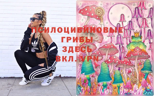 ГАЛЛЮЦИНОГЕННЫЕ ГРИБЫ Дмитровск