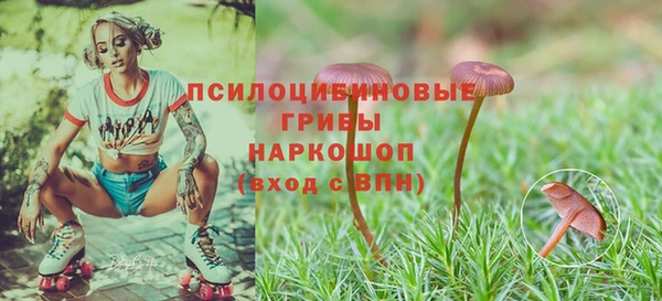 ГАЛЛЮЦИНОГЕННЫЕ ГРИБЫ Дмитриев