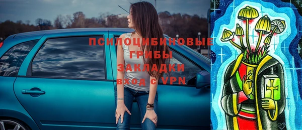 ГАЛЛЮЦИНОГЕННЫЕ ГРИБЫ Дмитриев
