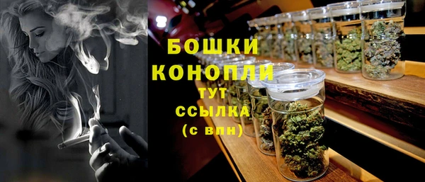 ГАЛЛЮЦИНОГЕННЫЕ ГРИБЫ Дмитровск