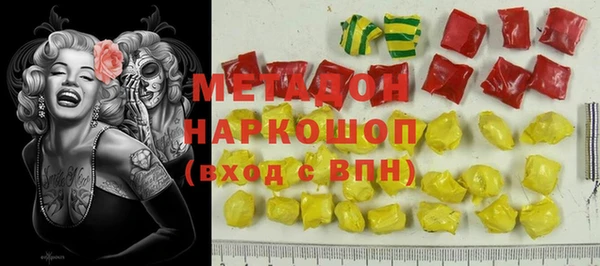 ГАЛЛЮЦИНОГЕННЫЕ ГРИБЫ Дмитриев