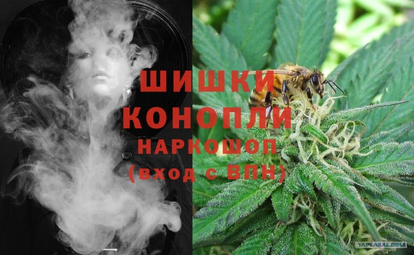 ГАЛЛЮЦИНОГЕННЫЕ ГРИБЫ Дмитровск