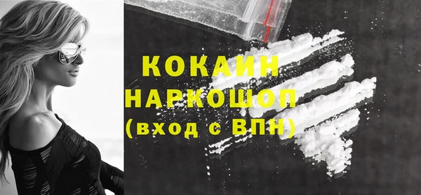 ГАЛЛЮЦИНОГЕННЫЕ ГРИБЫ Дмитриев