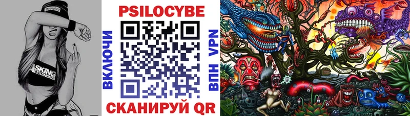 Псилоцибиновые грибы мицелий  Купить закладки  Новороссийск 