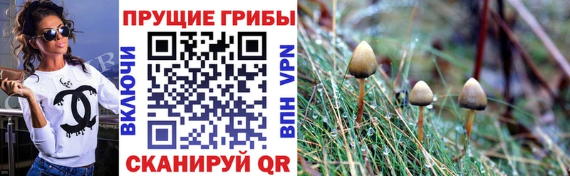 Галлюциногенные грибы GOLDEN TEACHER Новороссийск