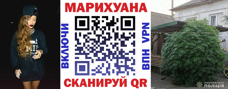 Конопля SATIVA & INDICA  Купить где  Новороссийск 